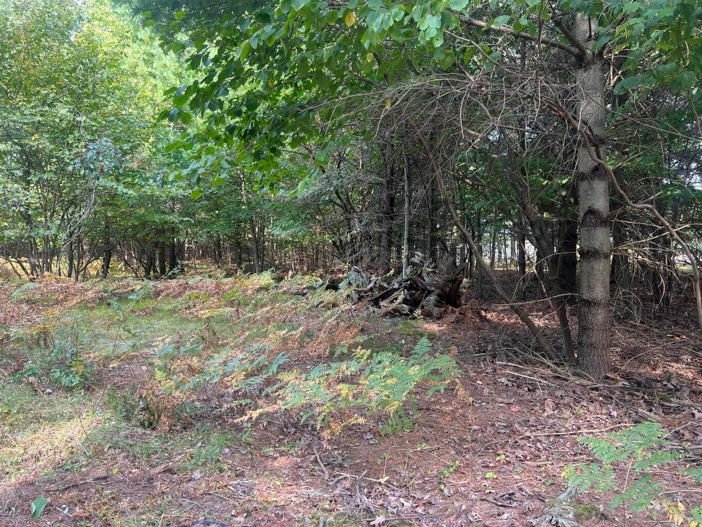 V/l Chippewa Hwy, Parcel C Property Photo 10