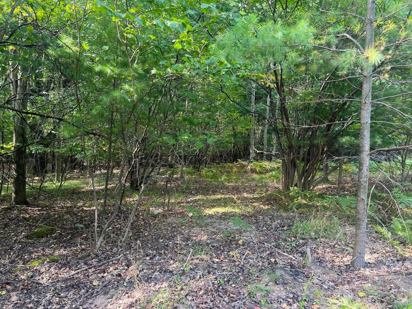 V/l Chippewa Hwy, Parcel C Property Photo 11