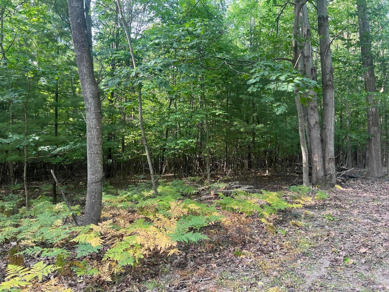 V/l Chippewa Hwy, Parcel C Property Photo 12