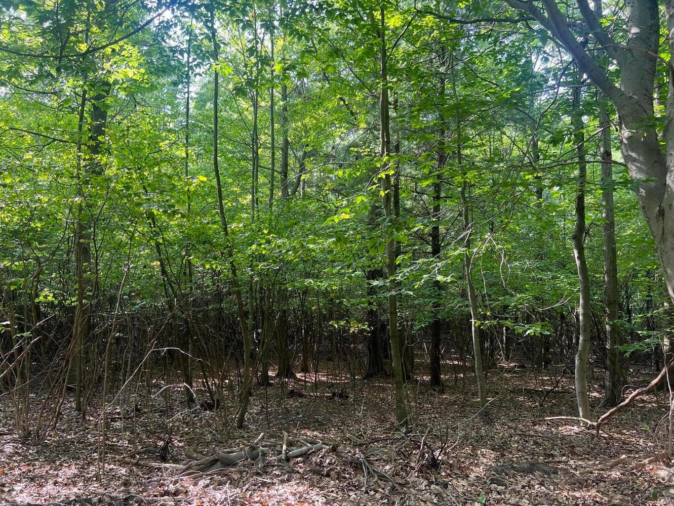 V/l Chippewa Hwy, Parcel C Property Photo 14