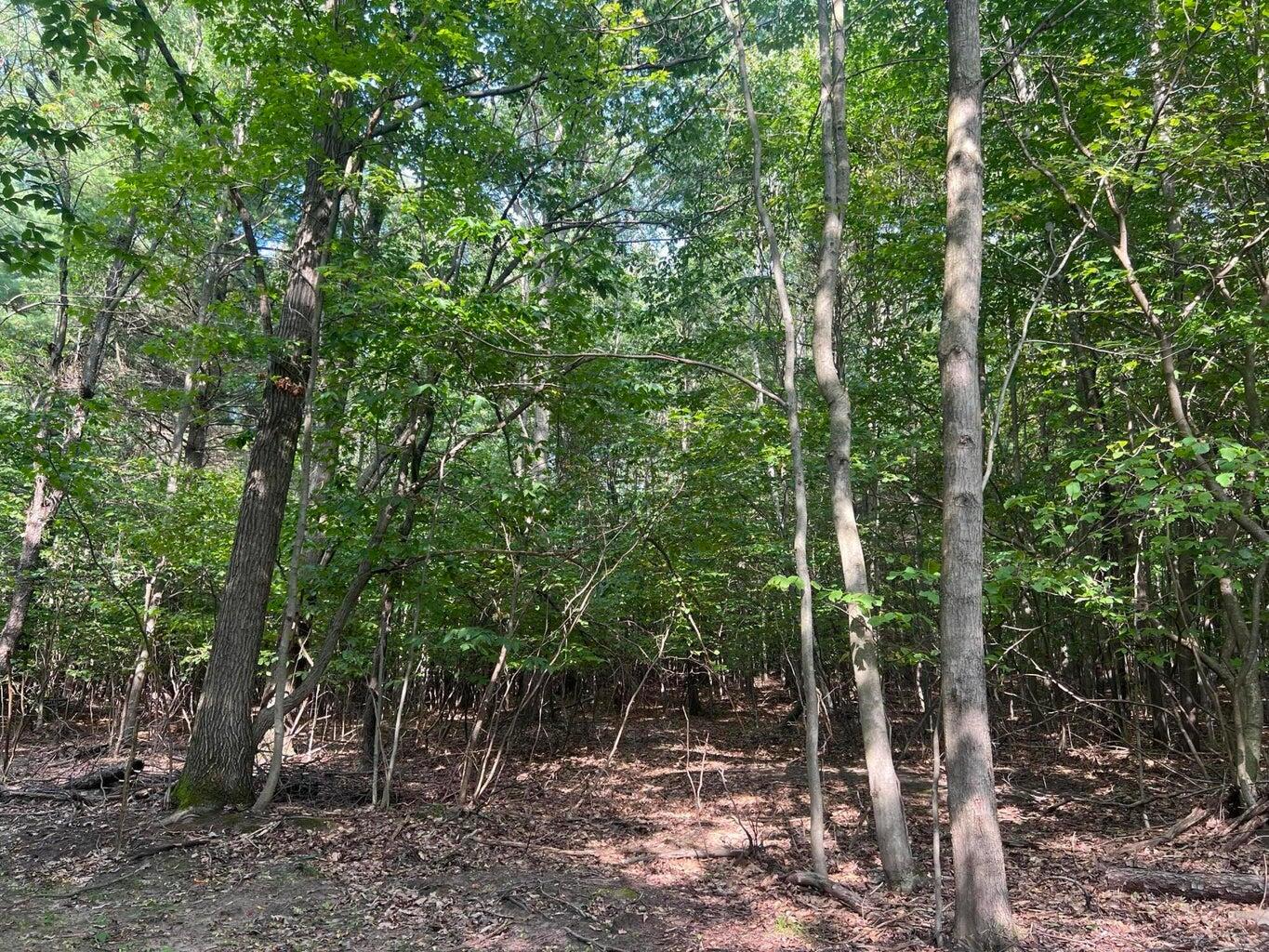 V/l Chippewa Hwy, Parcel C Property Photo 15