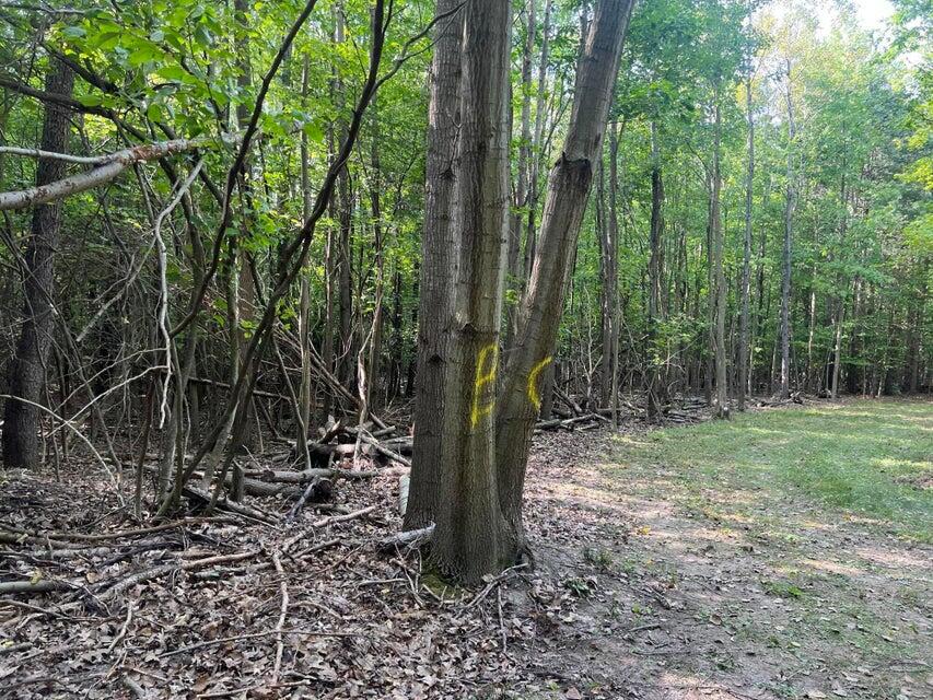 V/l Chippewa Hwy, Parcel C Property Photo 16
