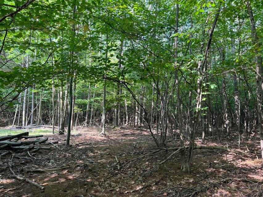 V/l Chippewa Hwy, Parcel C Property Photo 17