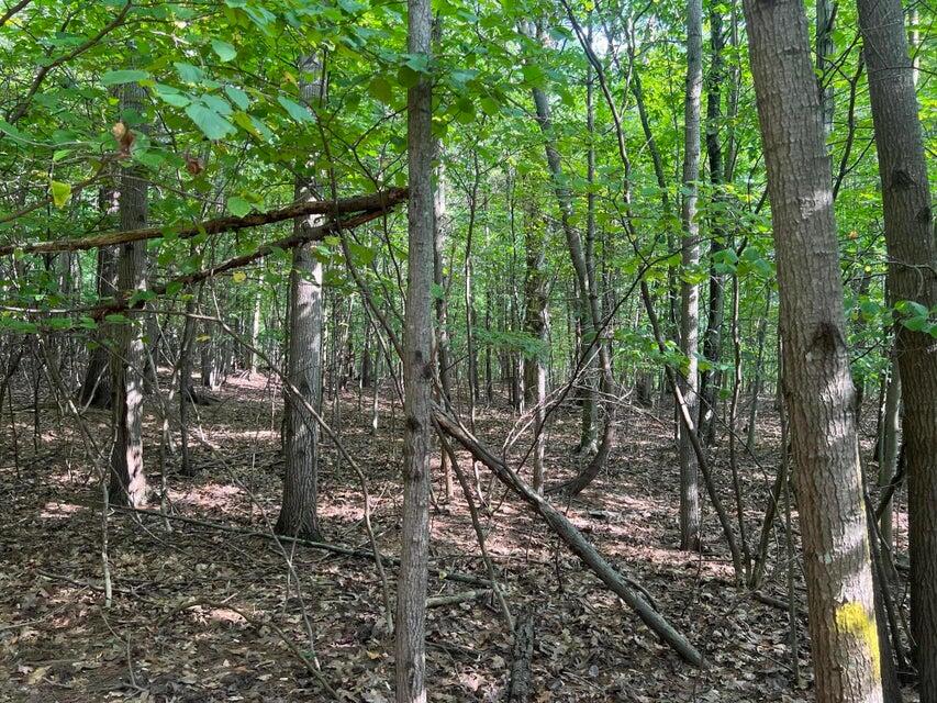 V/l Chippewa Hwy, Parcel C Property Photo 18