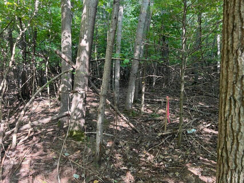 V/l Chippewa Hwy, Parcel C Property Photo 19
