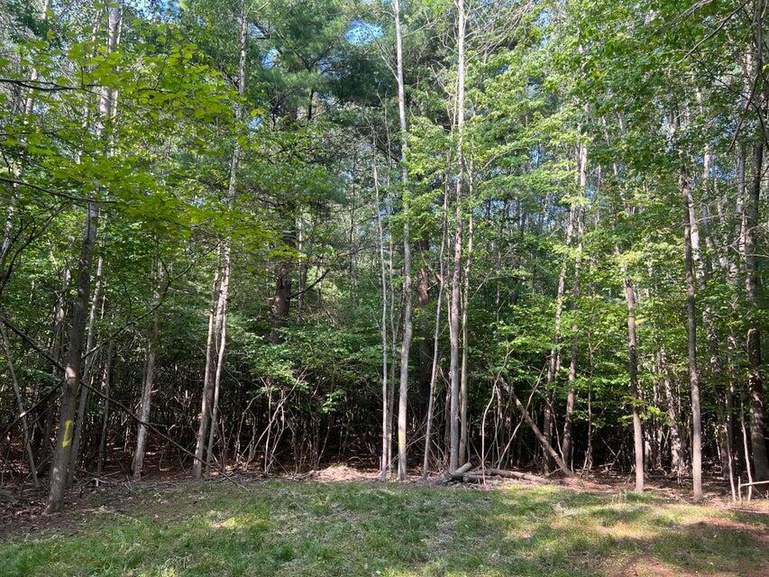 V/l Chippewa Hwy, Parcel C Property Photo 20