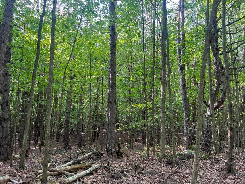 V/l Chippewa Hwy, Parcel C Property Photo 21