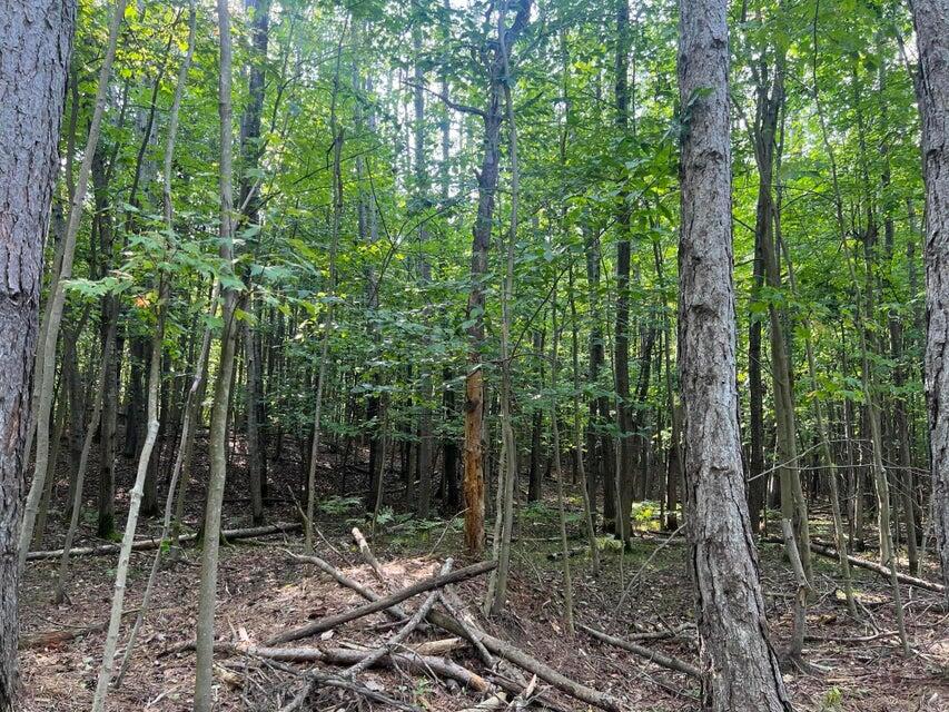 V/l Chippewa Hwy, Parcel C Property Photo 22