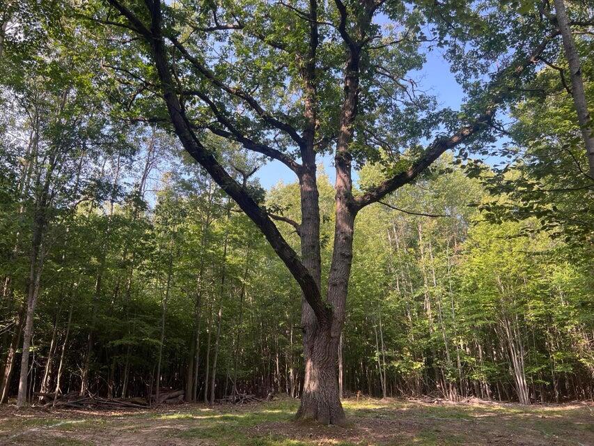 V/l Chippewa Hwy, Parcel C Property Photo 23