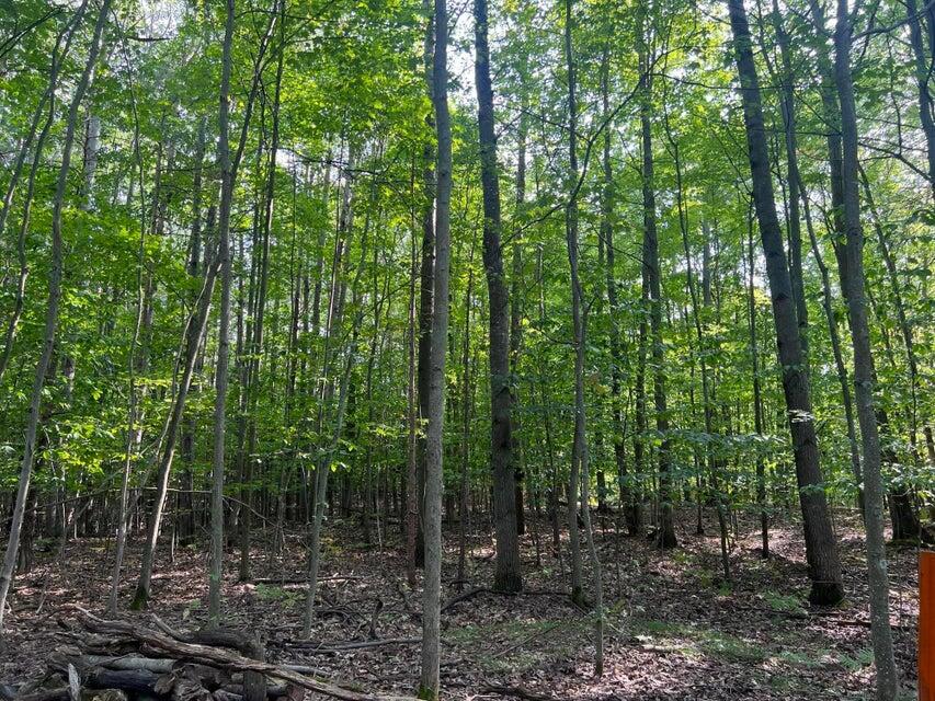 V/l Chippewa Hwy, Parcel C Property Photo 25