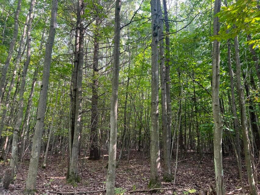 V/l Chippewa Hwy, Parcel C Property Photo 26