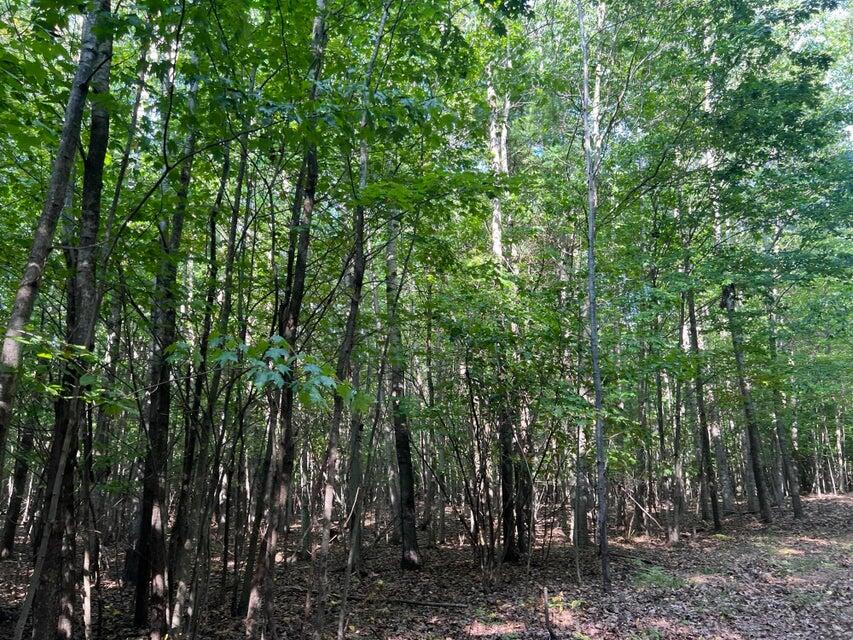 V/l Chippewa Hwy, Parcel C Property Photo 27