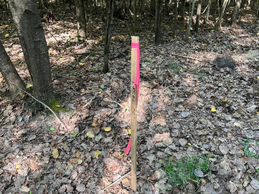 V/l Chippewa Hwy, Parcel C Property Photo 28