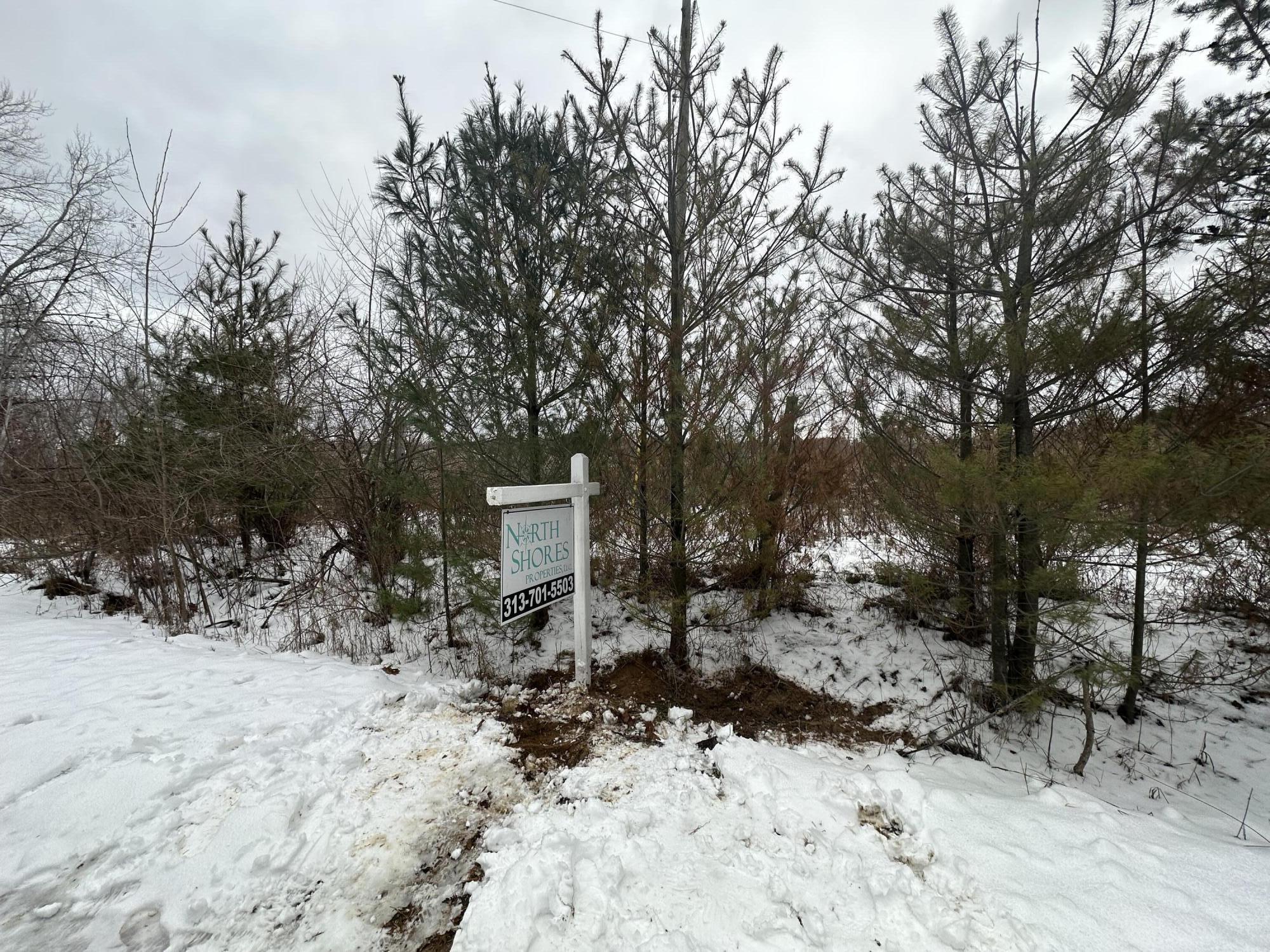 1628 Westfield Road Property Photo 4