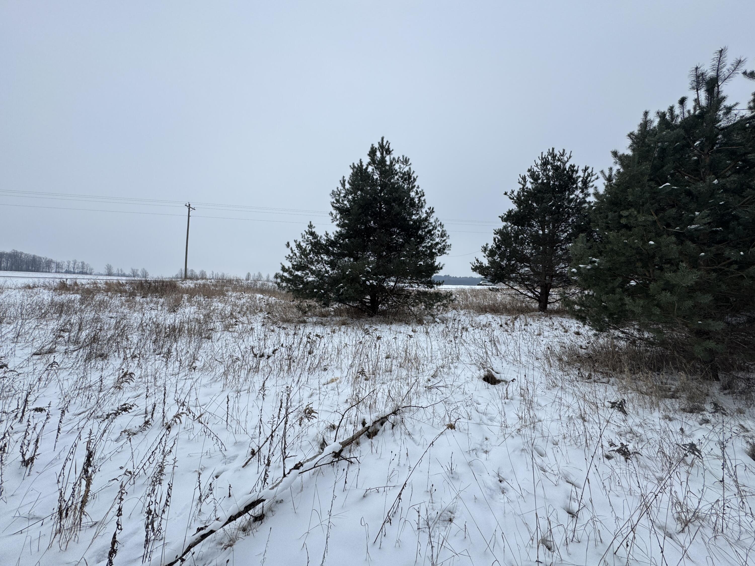 2 Acres E V/l E 48th Street Property Photo 3