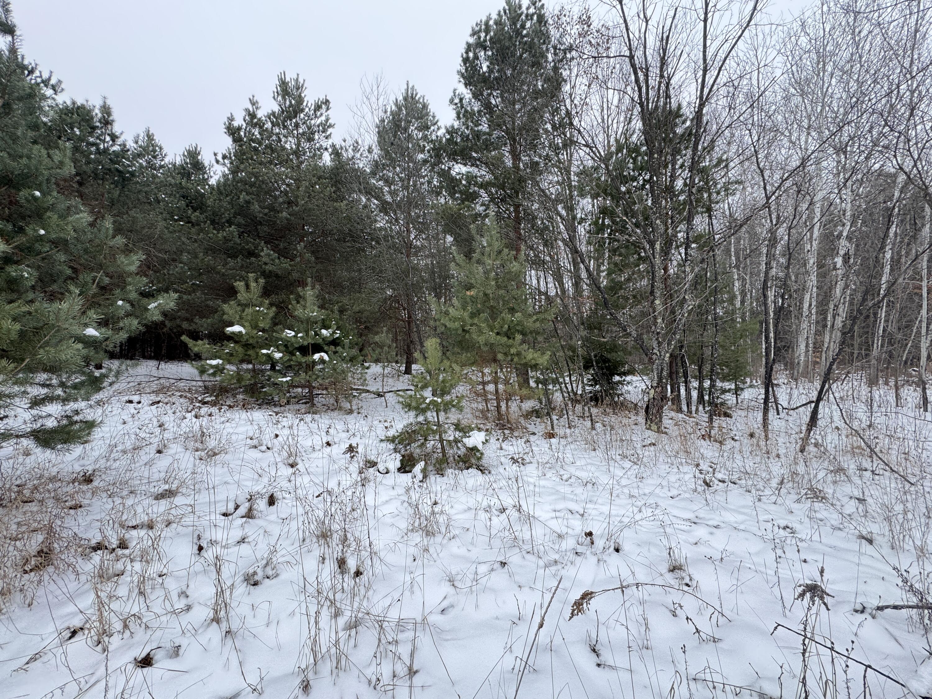 2 Acres E V/l E 48th Street Property Photo 4