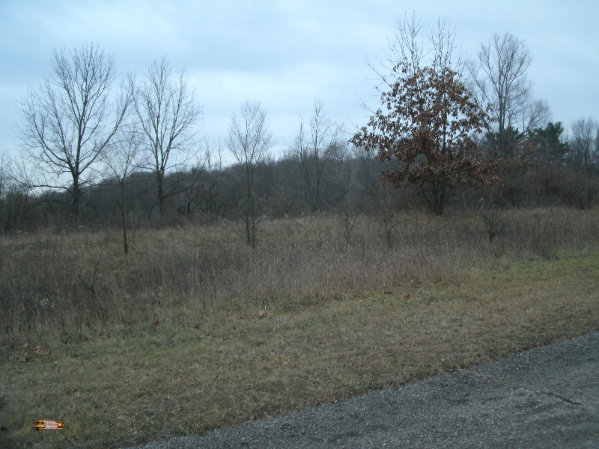 0 Drew Drive, Lot 22 Property Photo 1