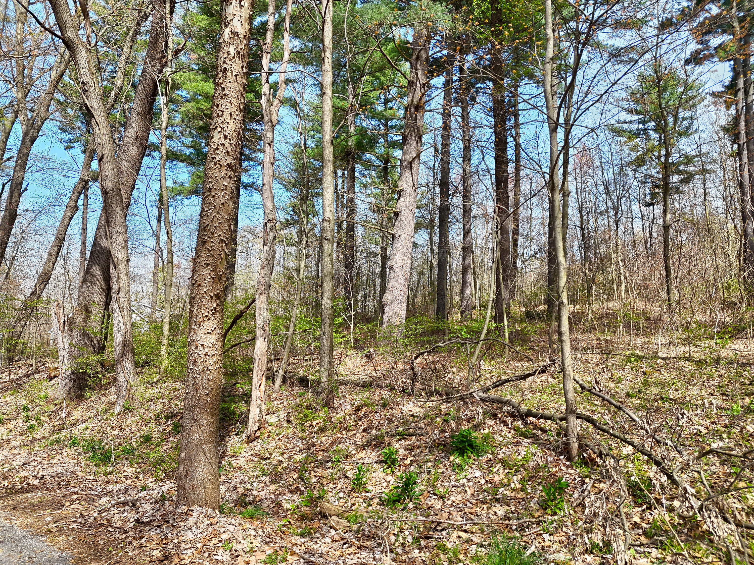 Vl Unit 12 Misty Pines Property Photo 2