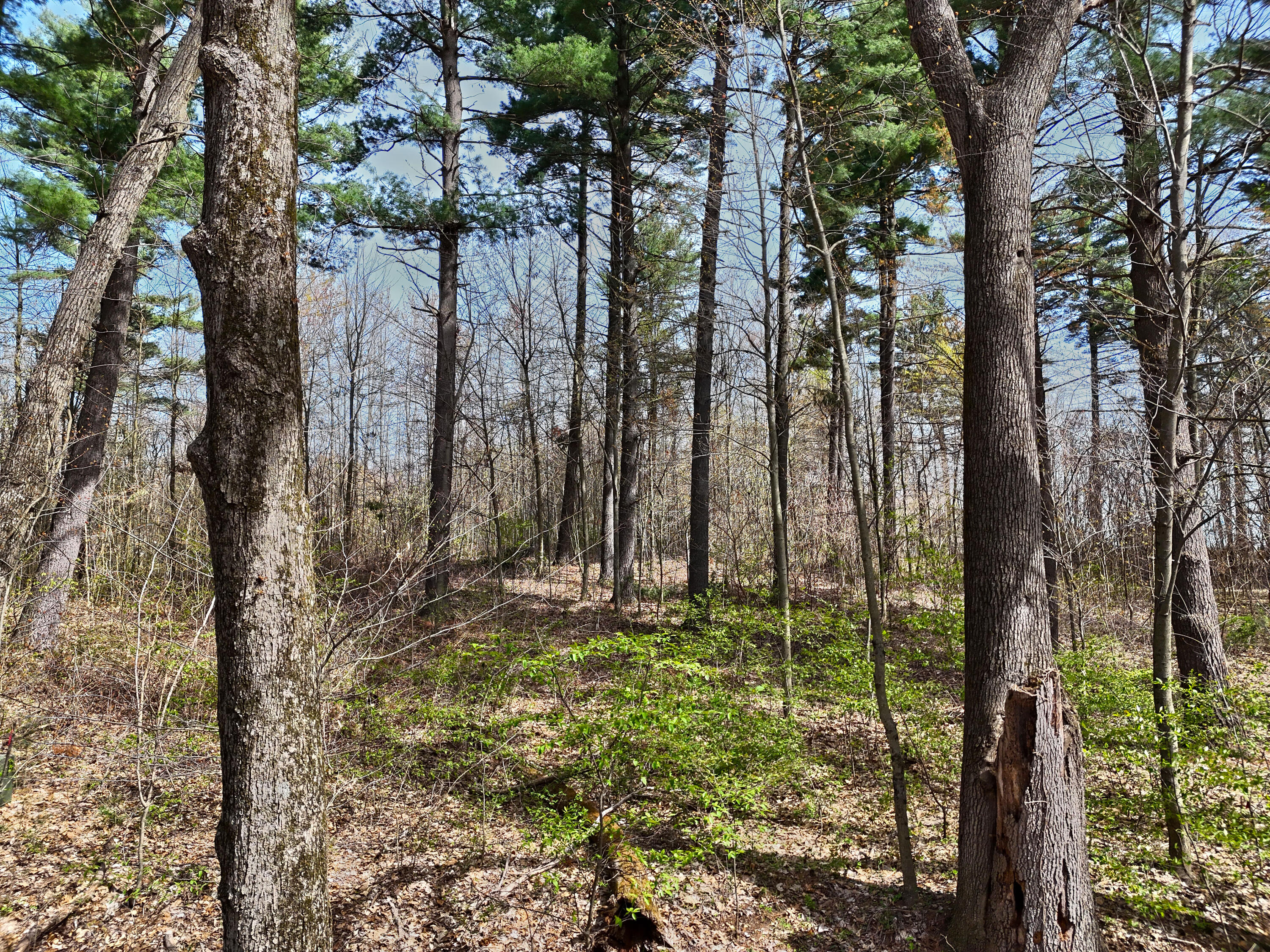 Vl Unit 12 Misty Pines Property Photo 3