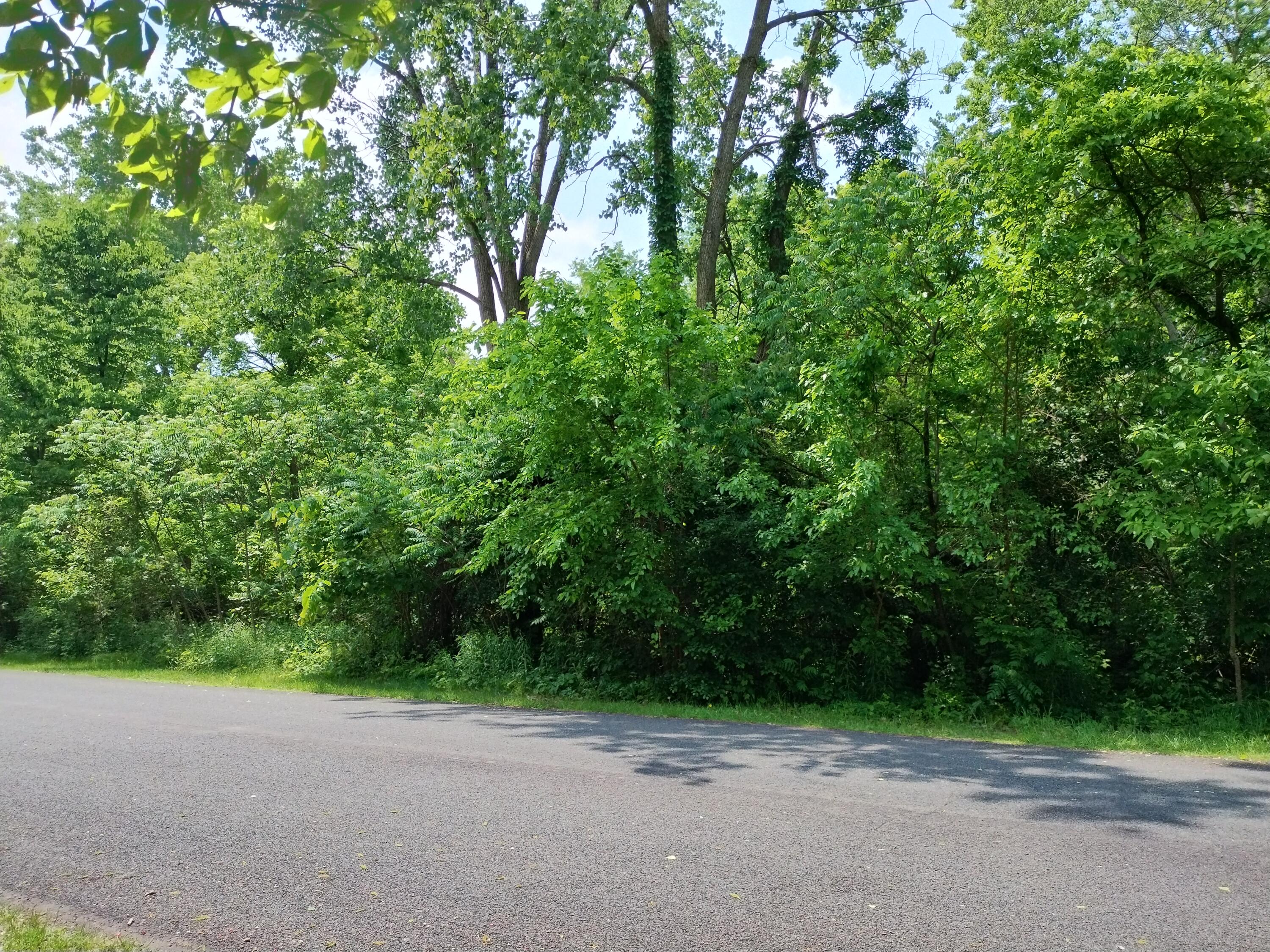 1.75 Ac Briarwood Drive