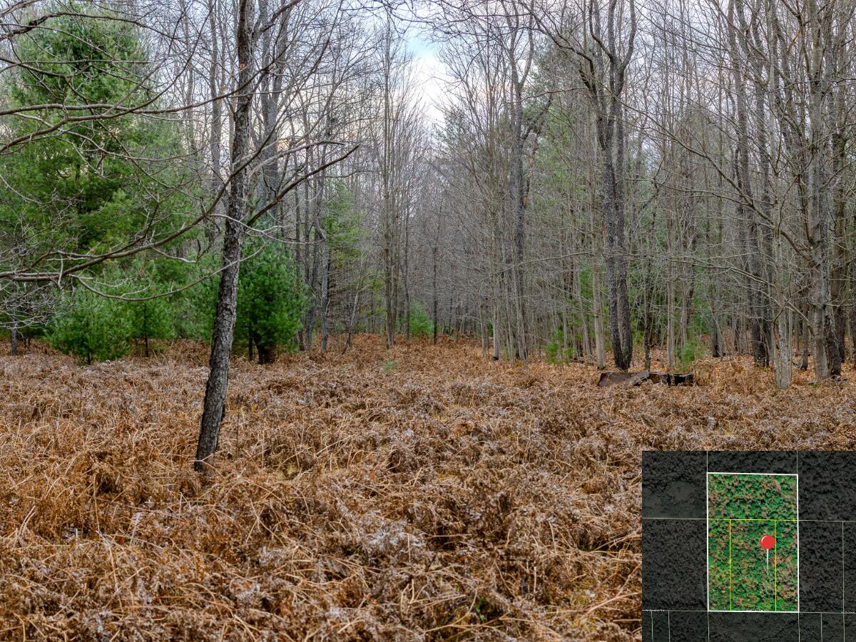 Vl W Gaukel Road Property Photo 13