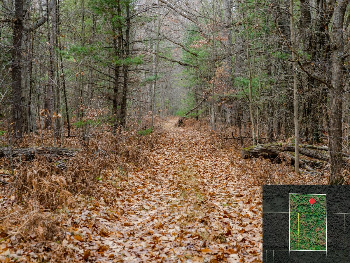 Vl W Gaukel Road Property Photo 17