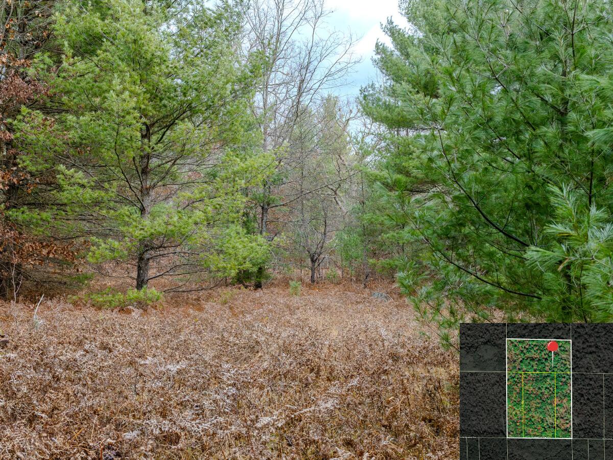 Vl W Gaukel Road Property Photo 18