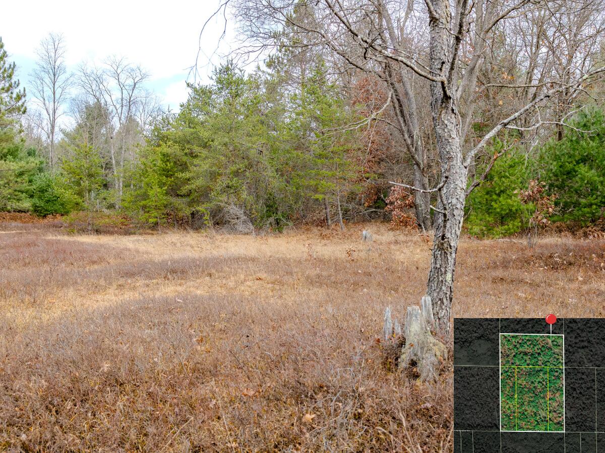 Vl W Gaukel Road Property Photo 22