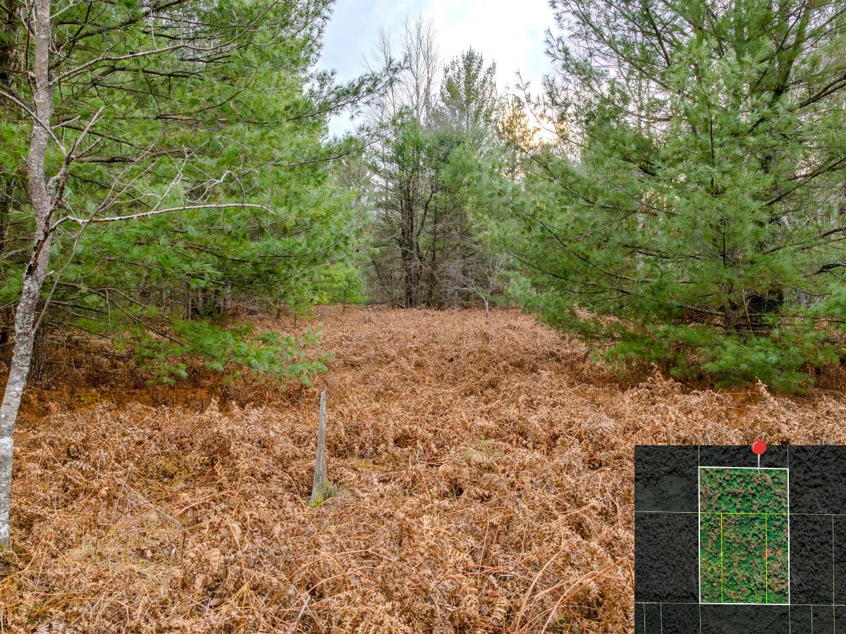 Vl W Gaukel Road Property Photo 25