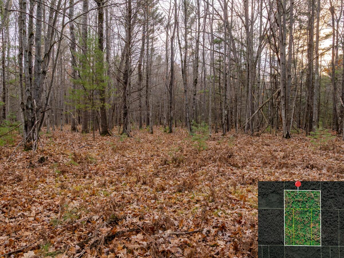 Vl W Gaukel Road Property Photo 26
