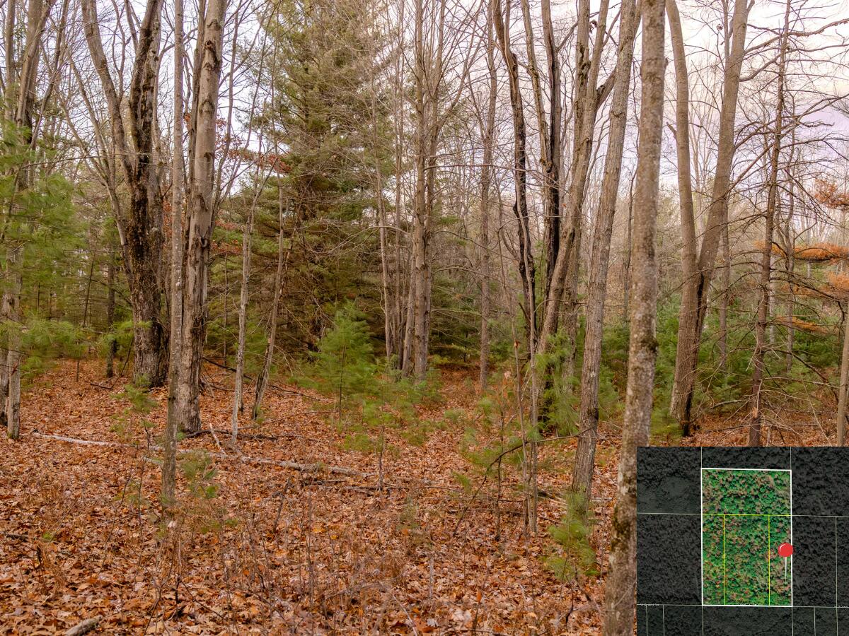Vl W Gaukel Road Property Photo 32
