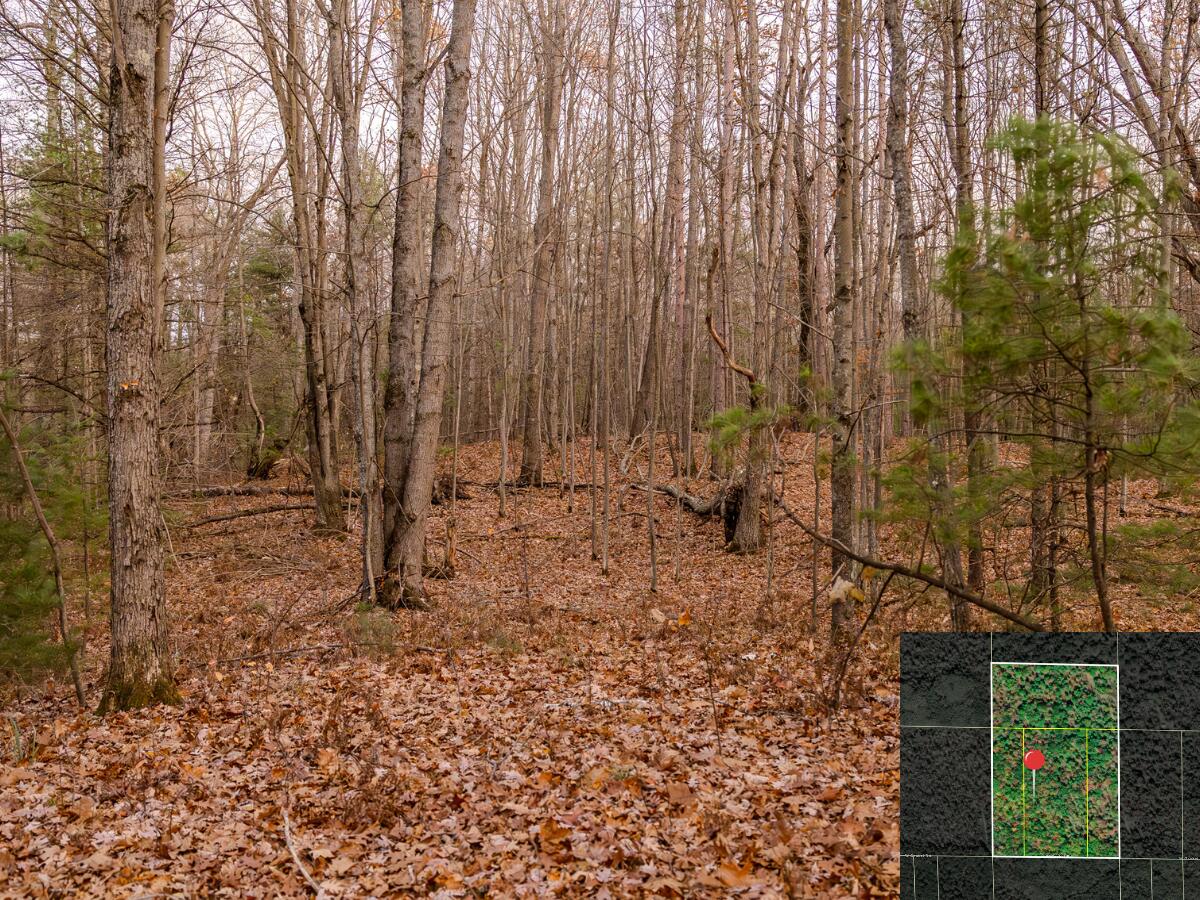 Vl W Gaukel Road Property Photo 33