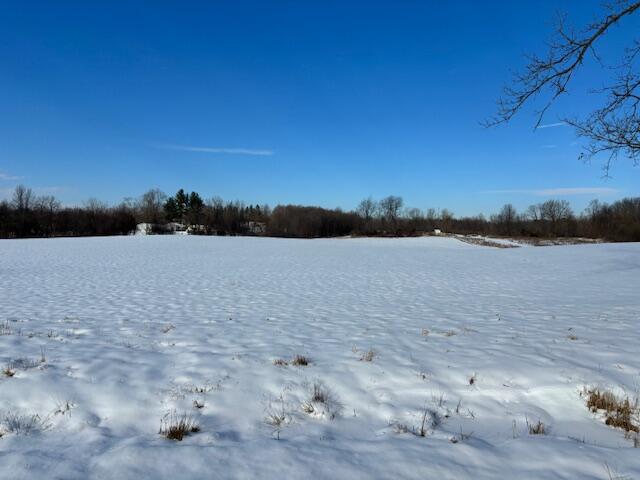 2811 Tanner Lake Road Property Photo 2