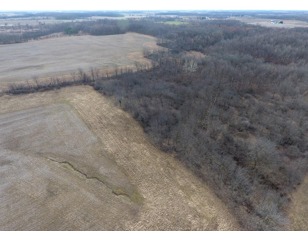 7351 Tamarack Road Property Photo 2
