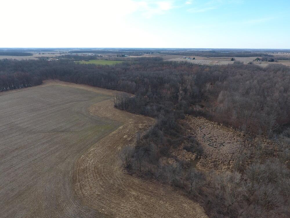 7351 Tamarack Road Property Photo 4
