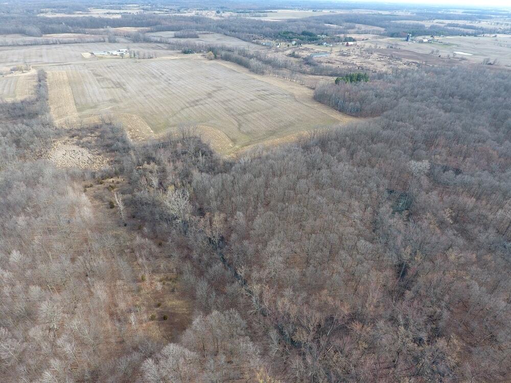 7351 Tamarack Road Property Photo 5