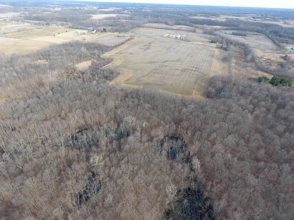 7351 Tamarack Road Property Photo 7