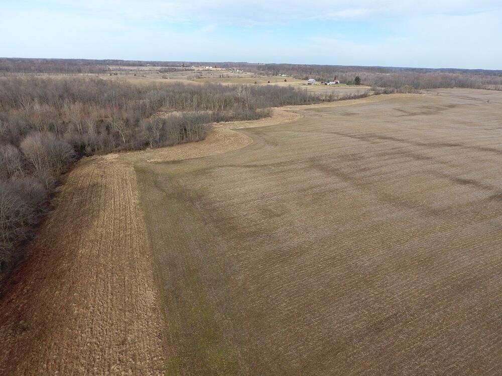 7351 Tamarack Road Property Photo 8