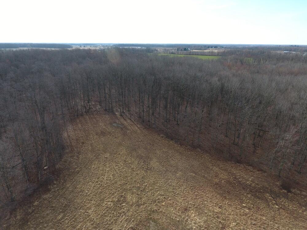 7351 Tamarack Road Property Photo 9