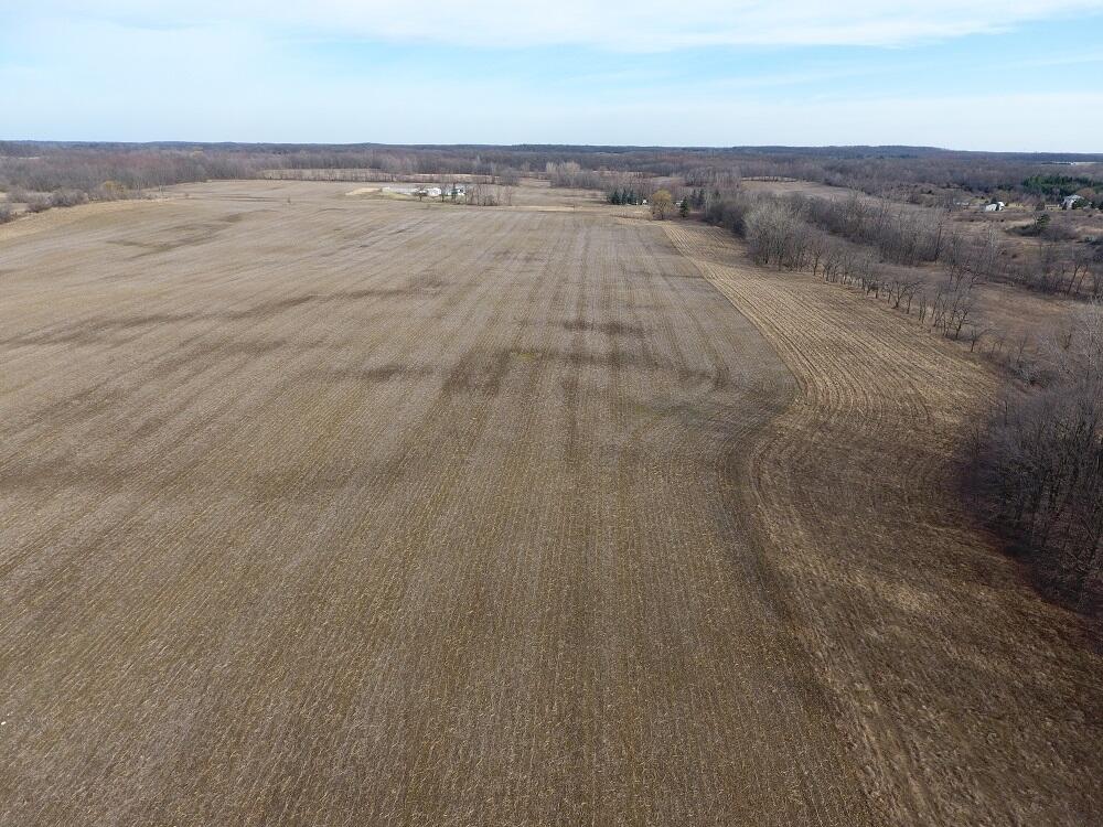 7351 Tamarack Road Property Photo 10
