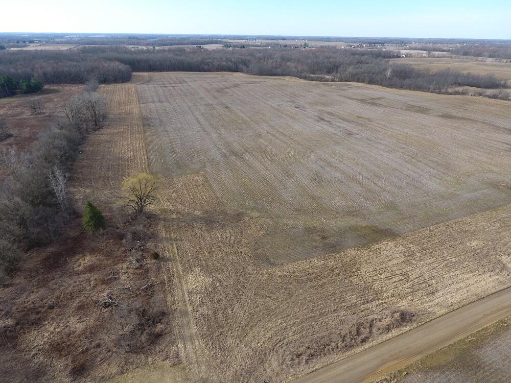7351 Tamarack Road Property Photo 11