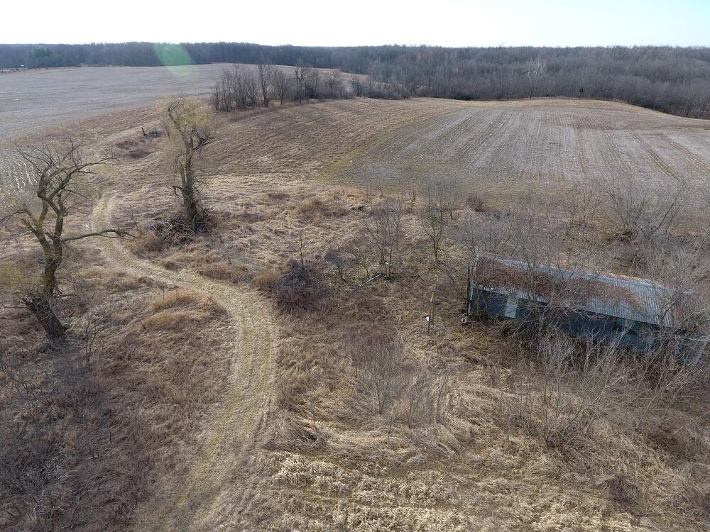 7351 Tamarack Road Property Photo 13