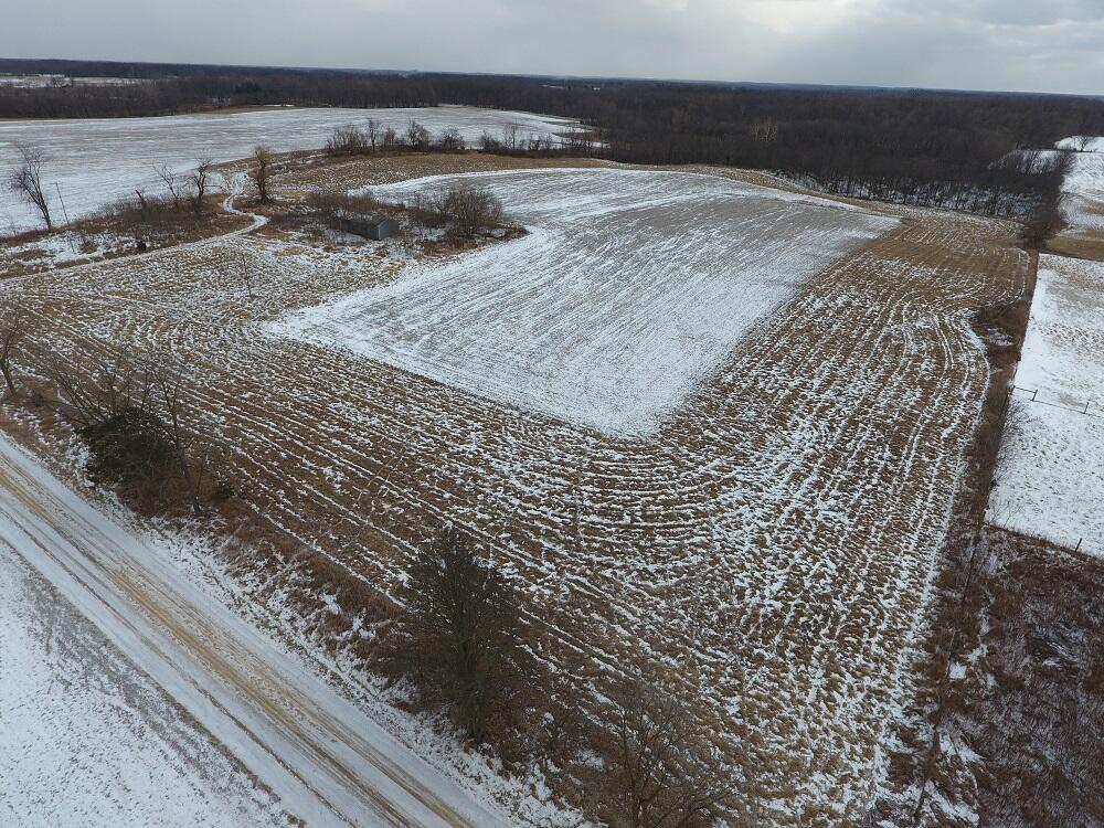 7351 Tamarack Road Property Photo 17