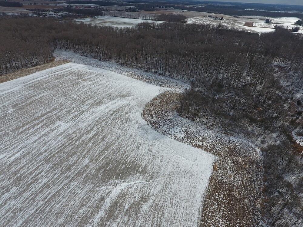 7351 Tamarack Road Property Photo 21