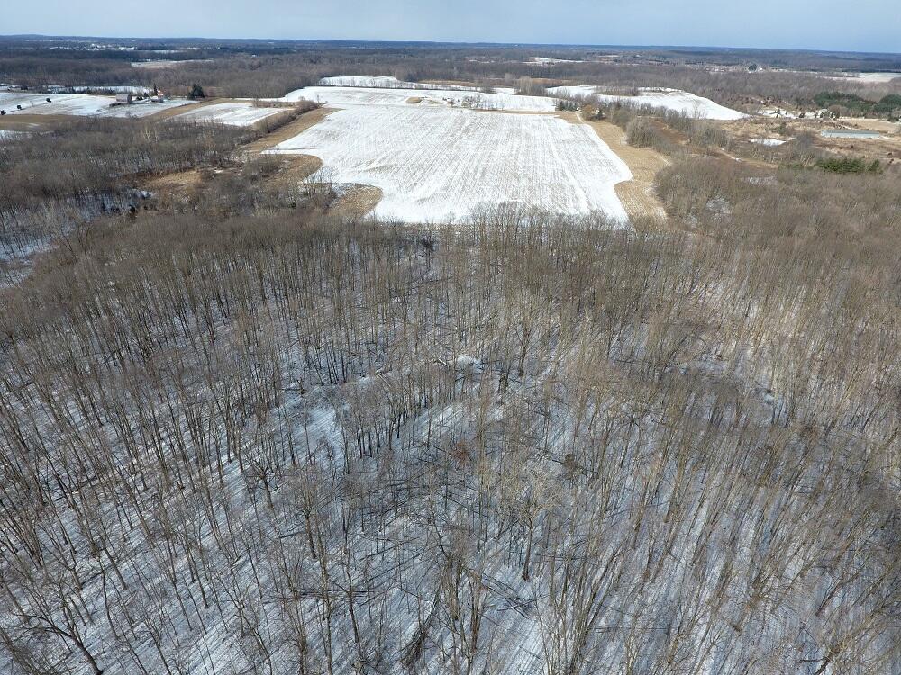 7351 Tamarack Road Property Photo 22