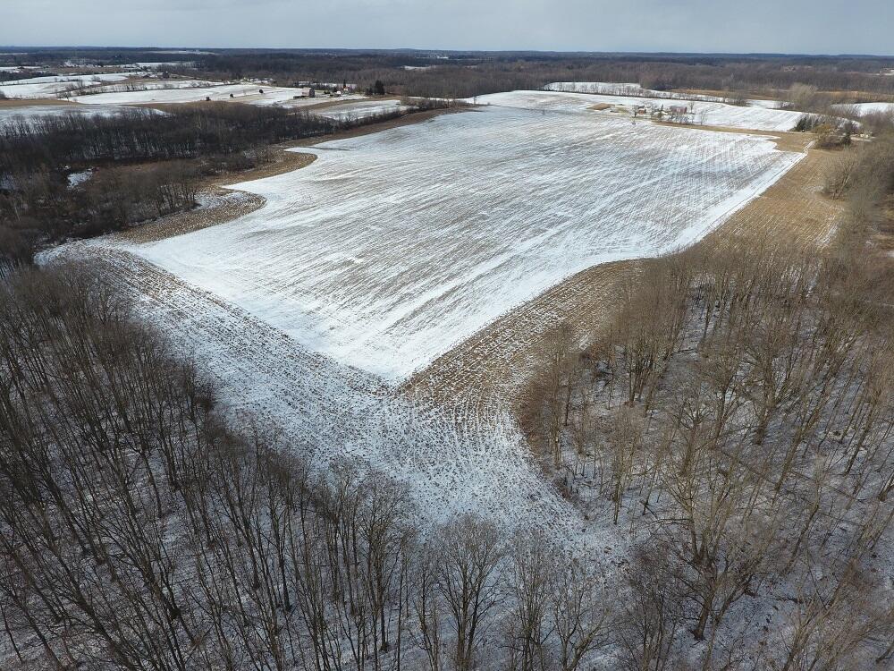 7351 Tamarack Road Property Photo 24