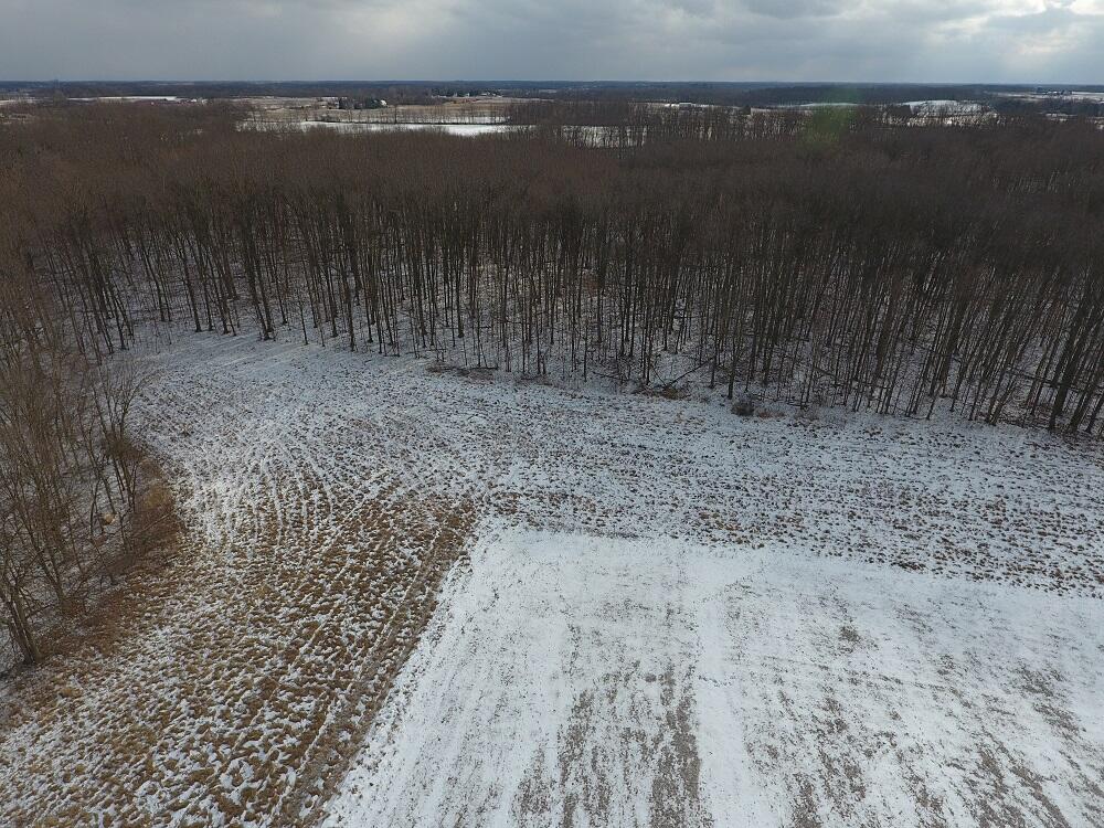 7351 Tamarack Road Property Photo 25