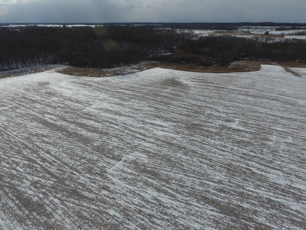 7351 Tamarack Road Property Photo 27