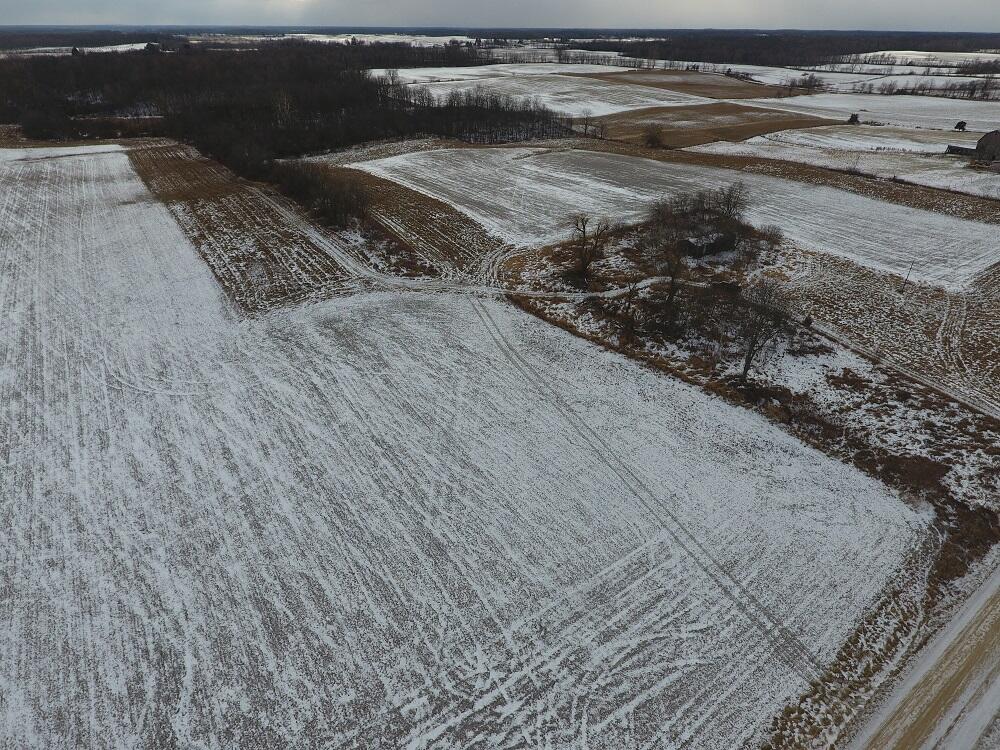 7351 Tamarack Road Property Photo 30