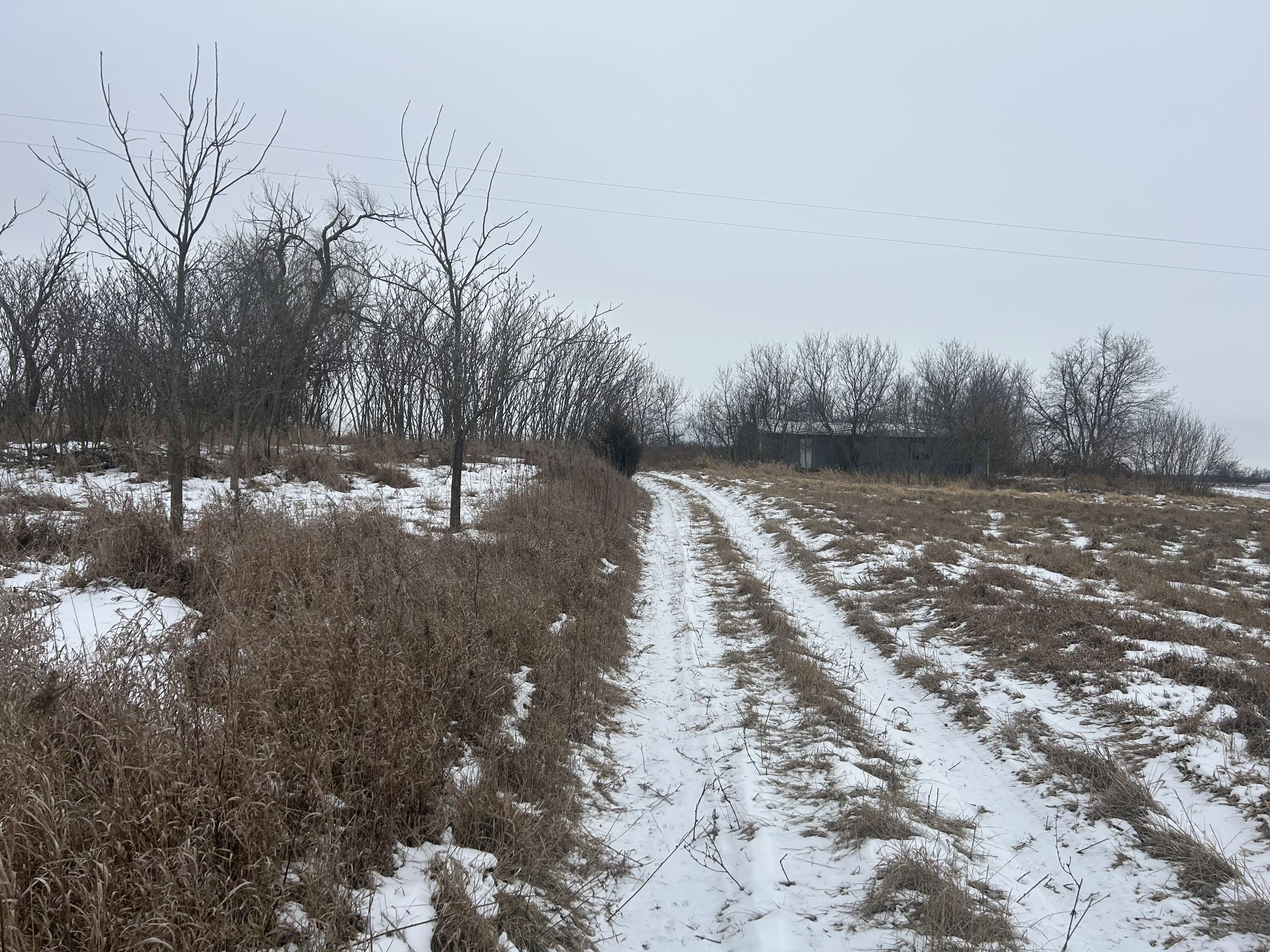 7351 Tamarack Road Property Photo 36